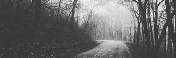 sullivan_reece Profile Banner