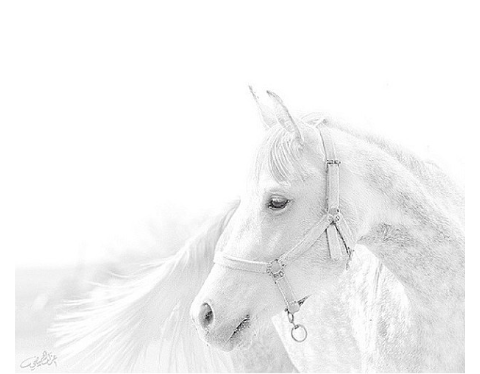 turki_ht's profile banner image