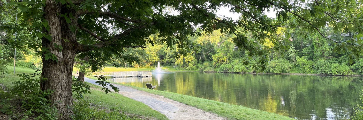 Nicholas Trivelas banner