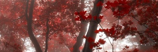 frostelex Profile Banner