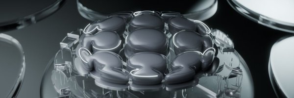 0xSphere Profile Banner