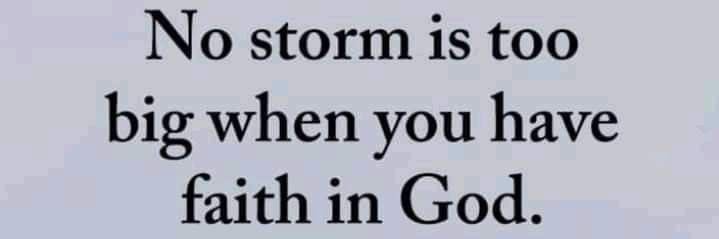 -S H A R P I R O- banner