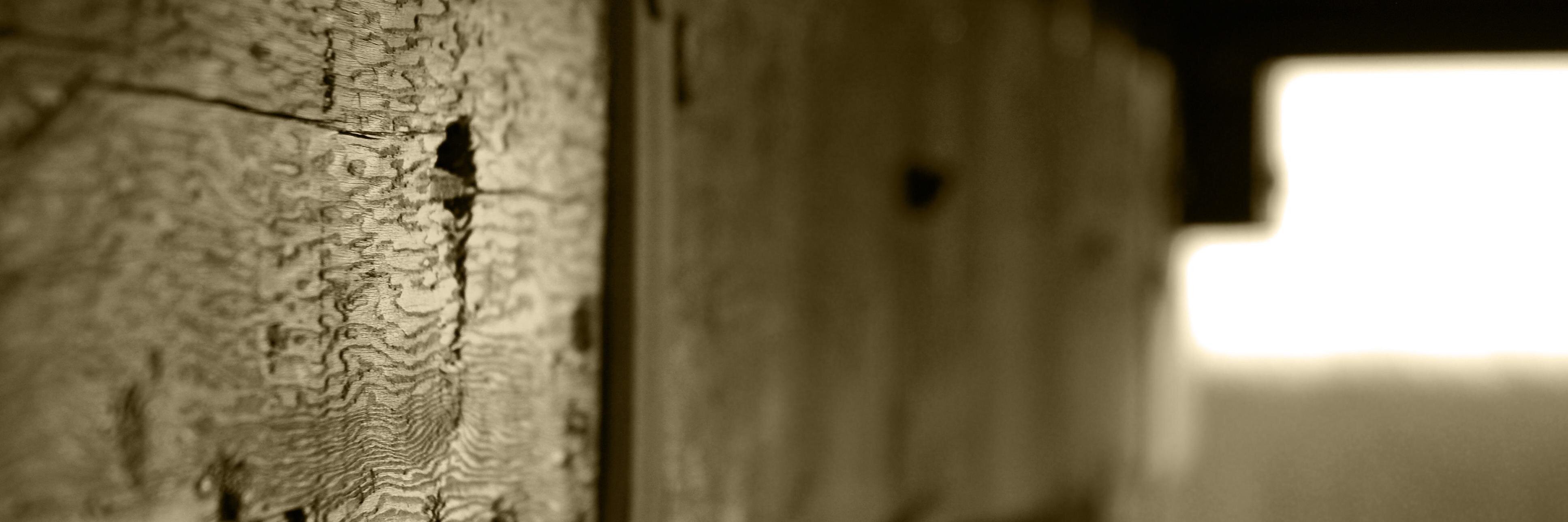LifekeyCounsel's profile banner image