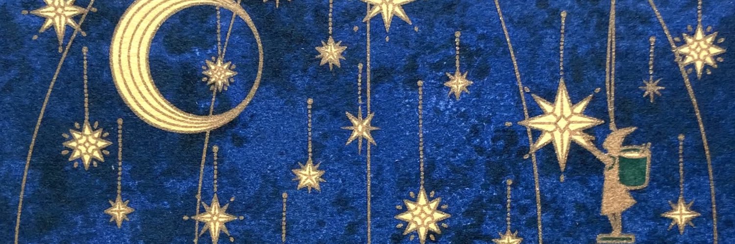 荒巻まりの✴︎Marino Aramaki banner