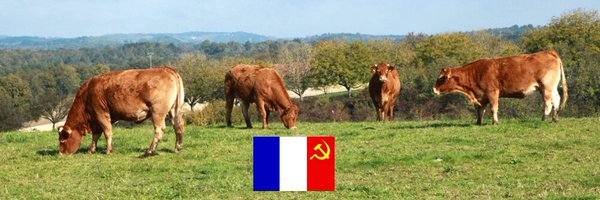 libdemnightmare Profile Banner