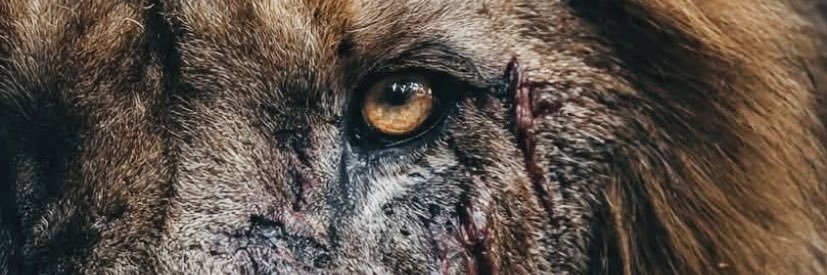 _BlessingII's profile banner image