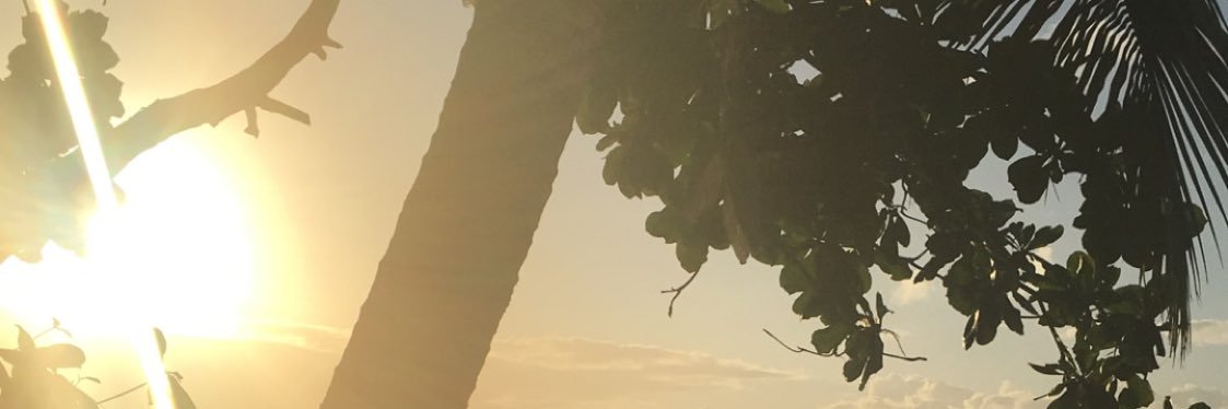 Orelycious's profile banner image