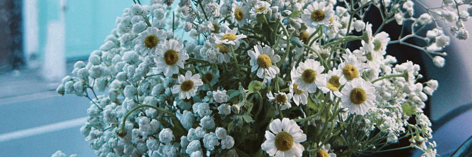 dadallyn's profile banner image