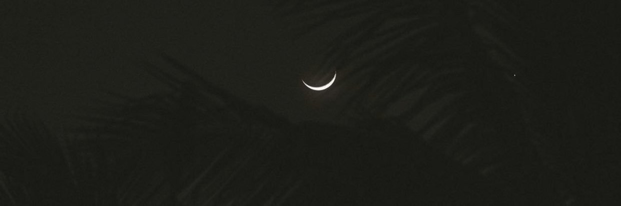 leacarlaaa's profile banner image