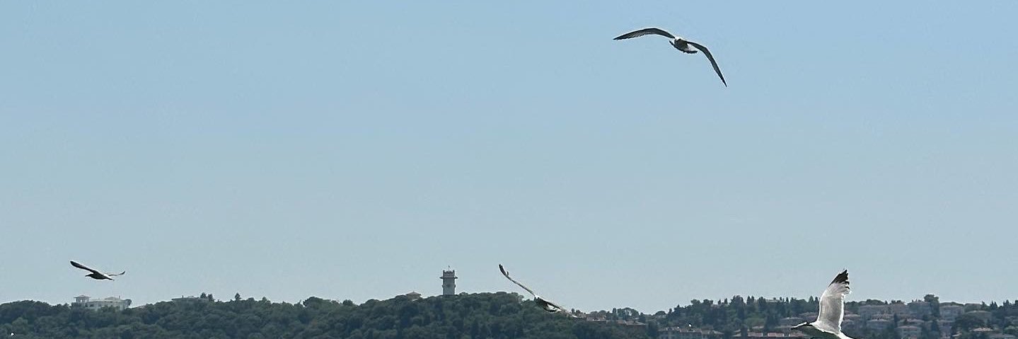 Abdulrahman Alanazi banner