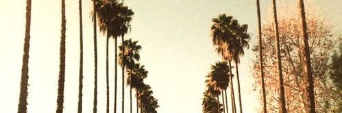 femehighness's profile banner image