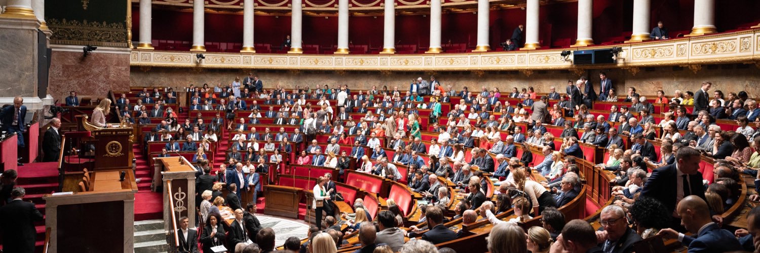 Charlotte Goetschy-Bolognese banner