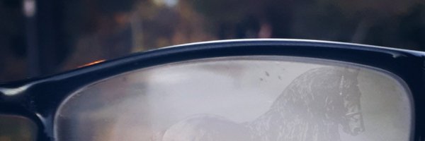 powvetic Profile Banner