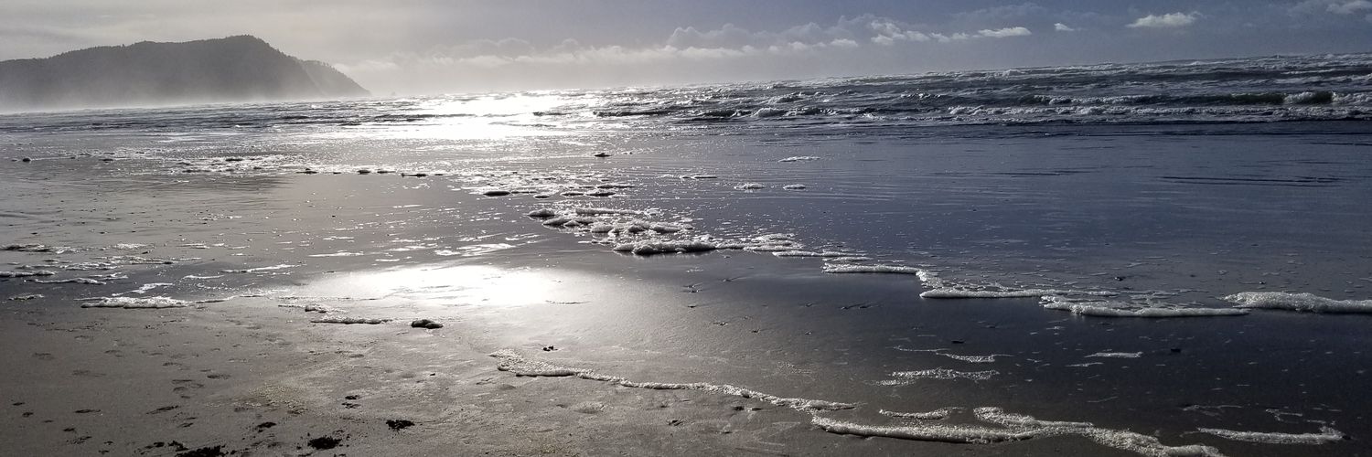 elainemullen's profile banner image