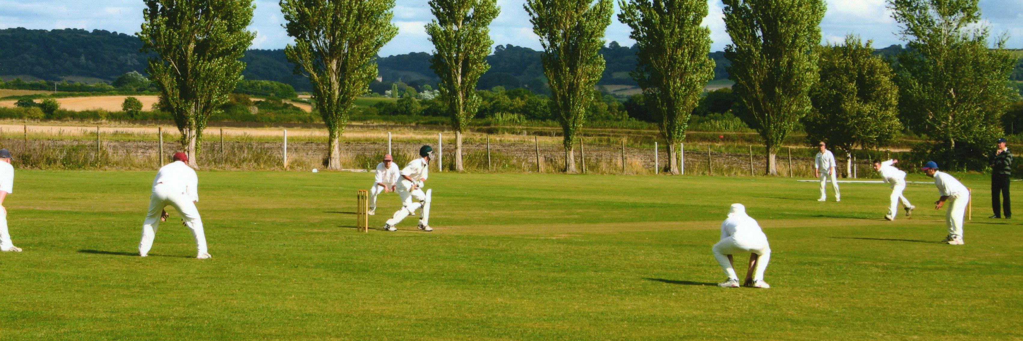 South Petherton C.C. banner