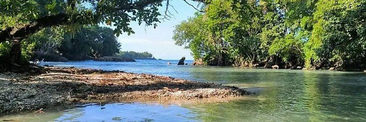 RBuds_'s profile banner image