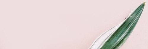 EliarysTavarez's profile banner image