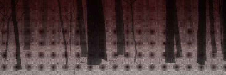 𝑹𝒐𝒘𝒂𝒏 💢 banner