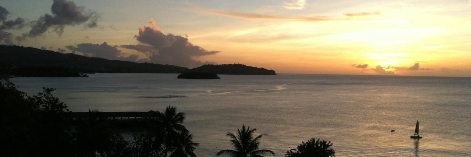 Jessica Sebastian banner