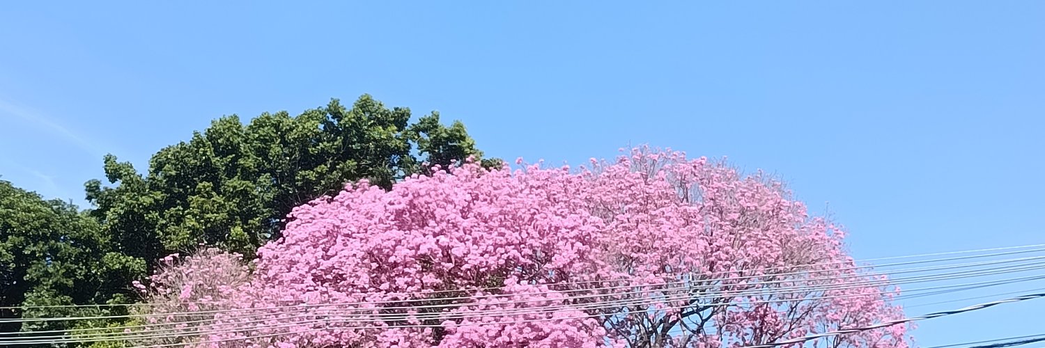 cutiecloud81's profile banner image
