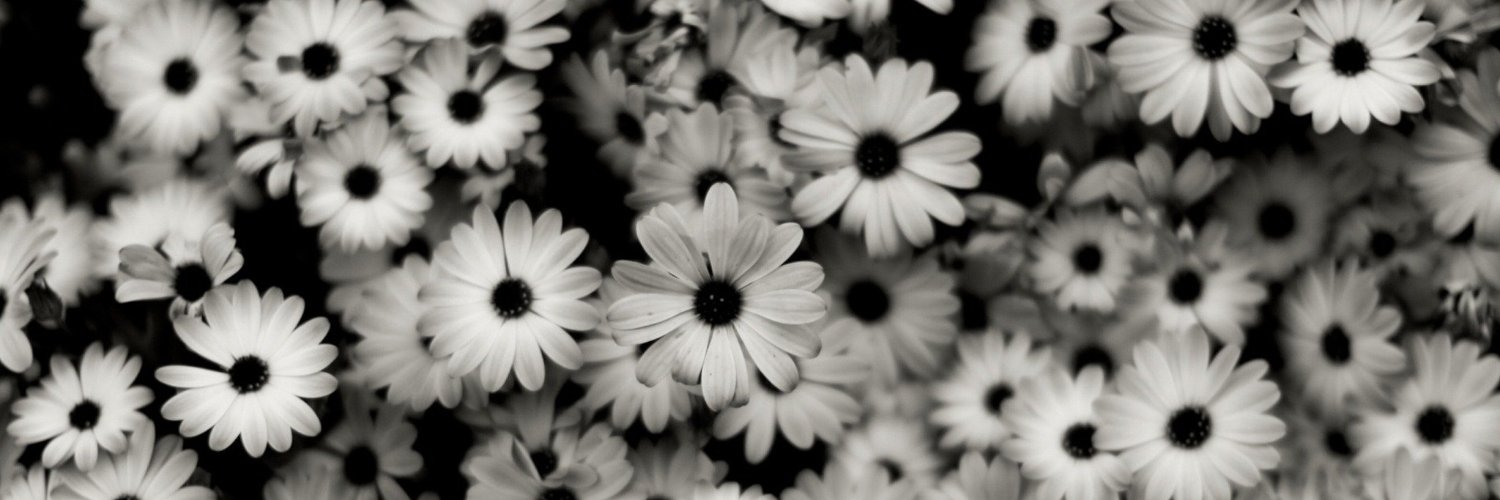 AmableAnabella's profile banner image