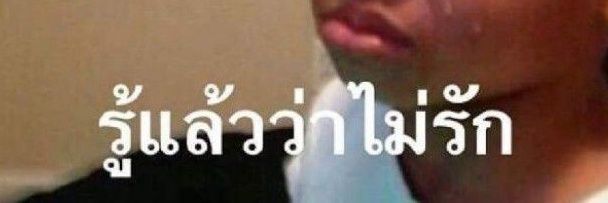 รู้แล้วว่าเป็นได้แค่พี่น้อง banner