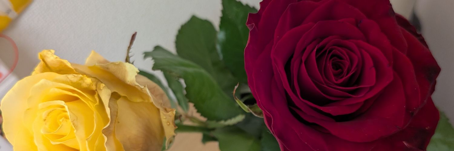 ls03030407's profile banner image