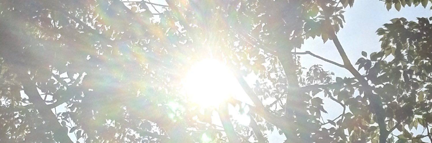t_lanlan's profile banner image