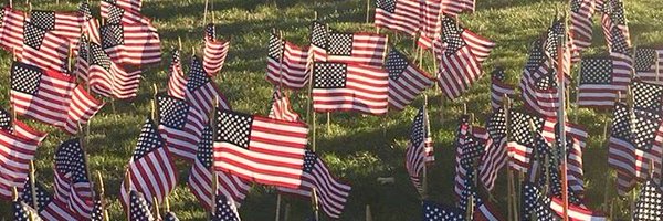 laxfin Profile Banner