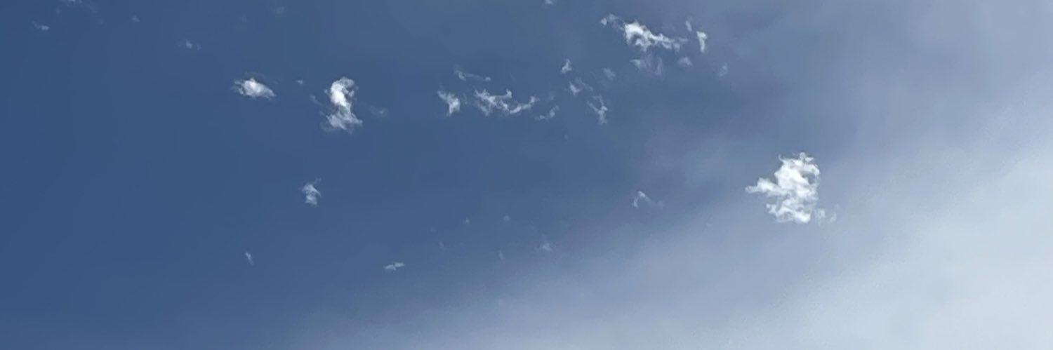 shiroyoshikuro's profile banner image