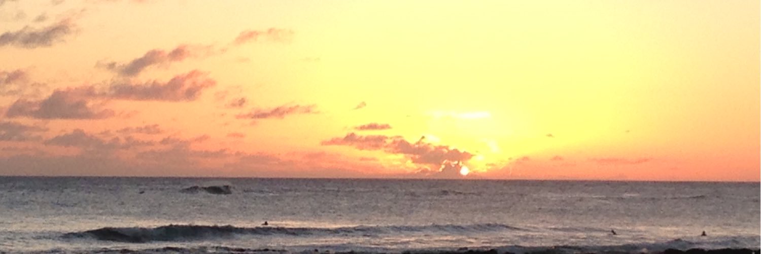 DanaBalsitis's profile banner image