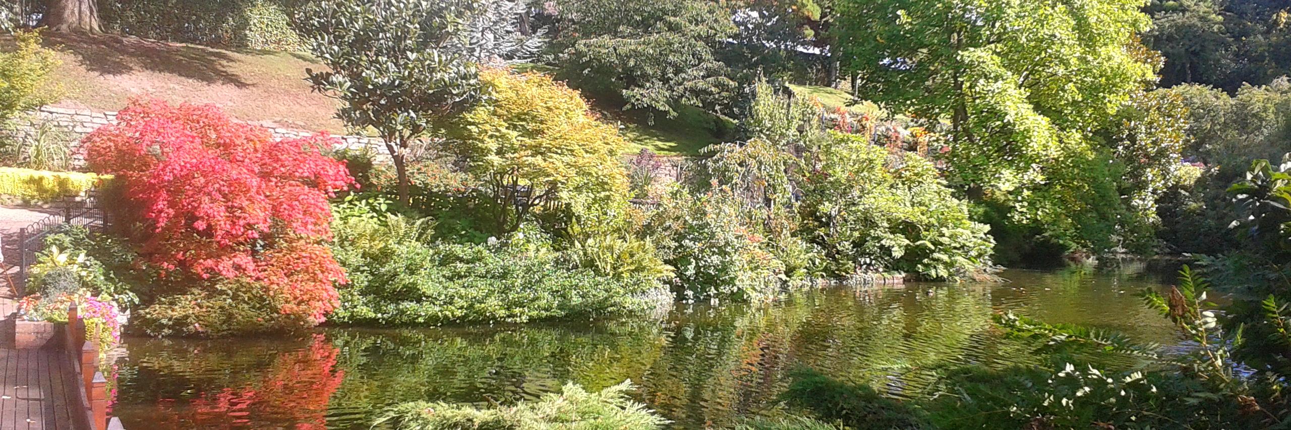 Ruby Hartshorn banner