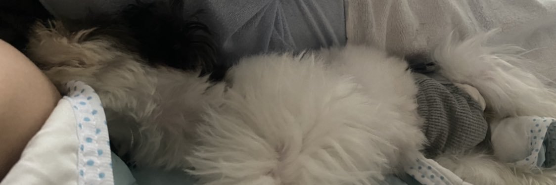 ari3_0920's profile banner image