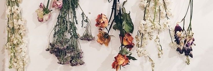 juliaelemos's profile banner image