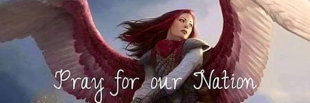 Dixiebabies's profile banner image