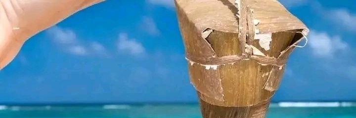 Enoida Castillo Hernández banner