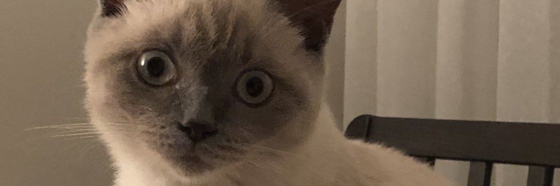 muratzinho's profile banner image