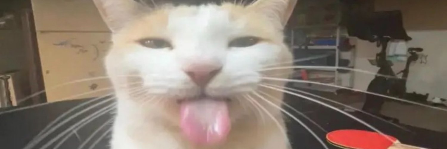 BLEH banner