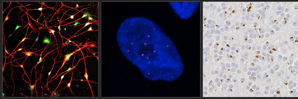 sunlab_jhu's profile banner image