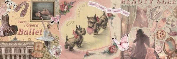 pingkymoon Profile Banner