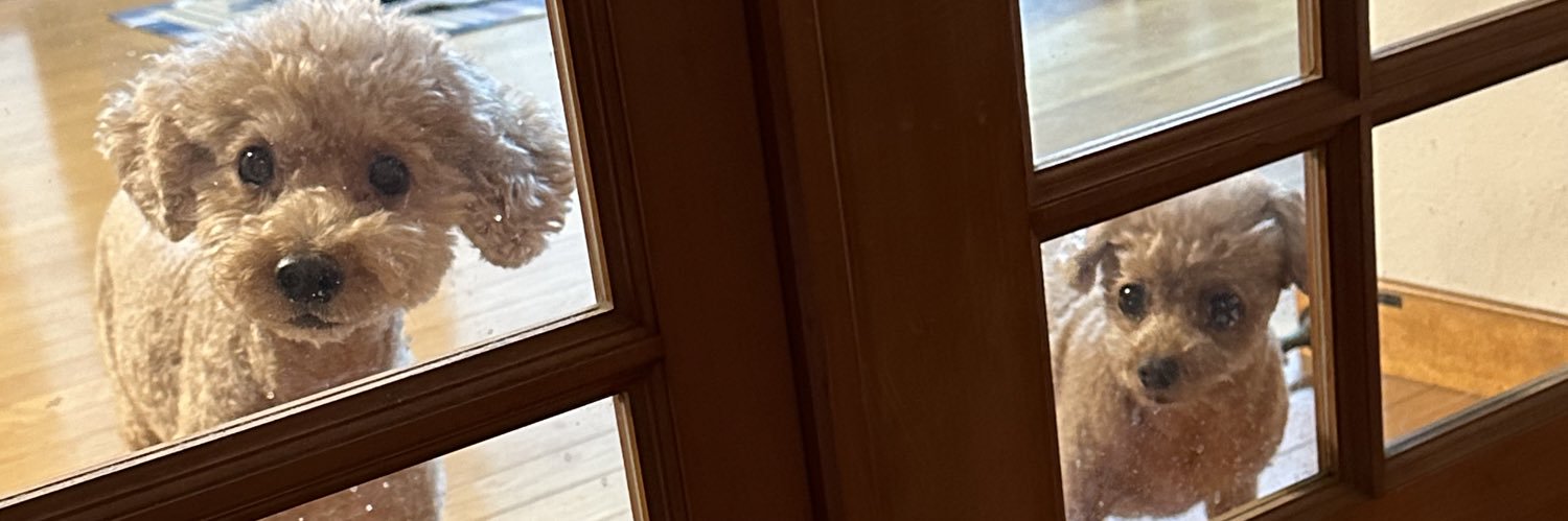 skr0119's profile banner image
