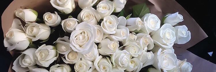 silvandreea's profile banner image