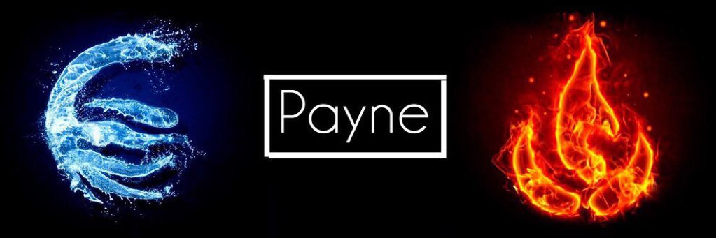 Payne banner