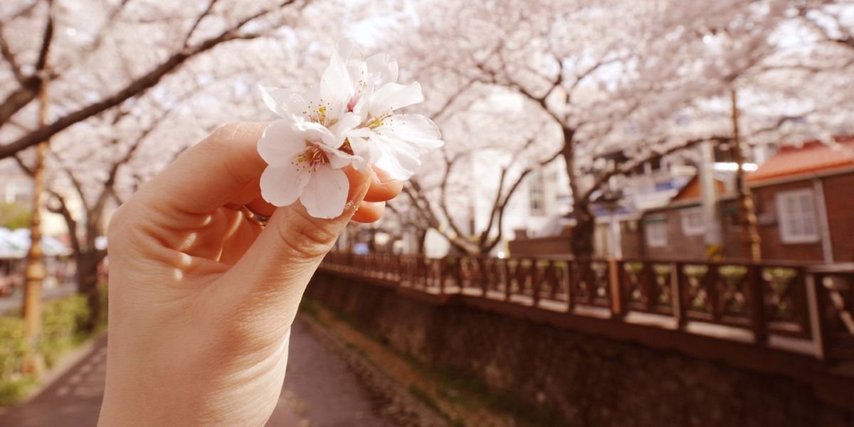 april_days's profile banner image