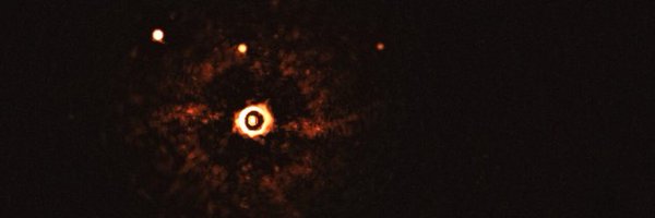 porkytheking Profile Banner