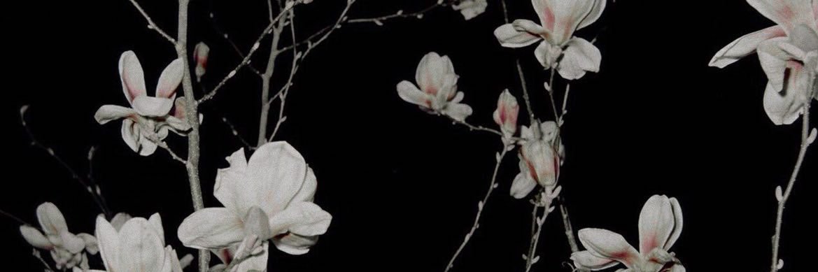 shd69k's profile banner image