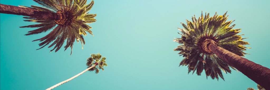 Dani21's profile banner image