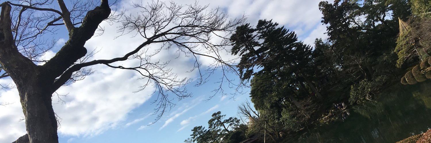 p1114a's profile banner image