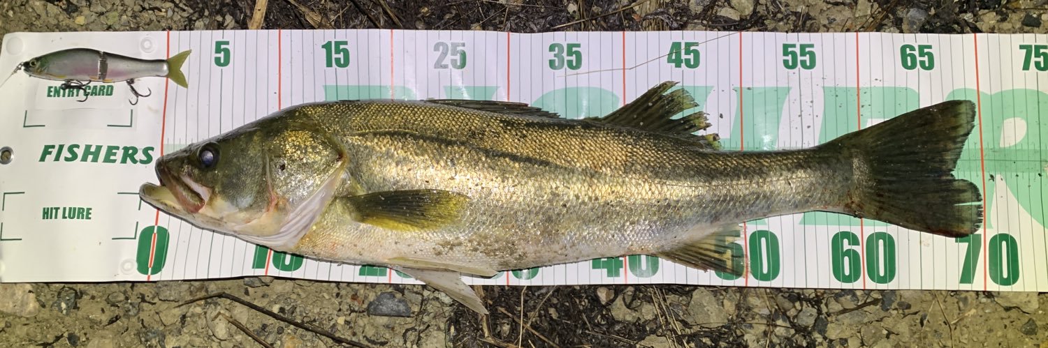 ティノ@デ部 banner