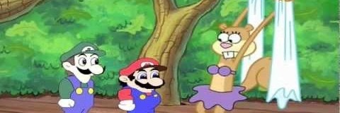 Turtlepurdel banner